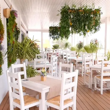 Fratelli Sun * Mamaia